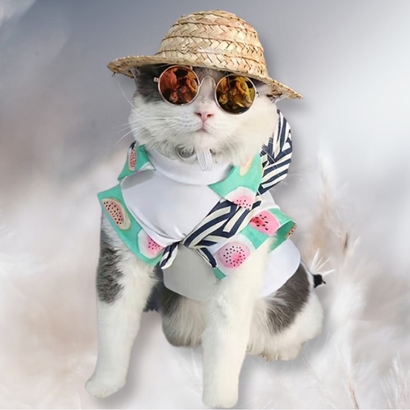 Pet PV Protection Sunglasses - Picture 8 of 8